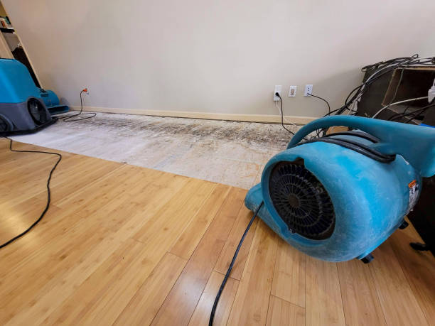 Professional Sewage Cleanup technician working in Madison, VA